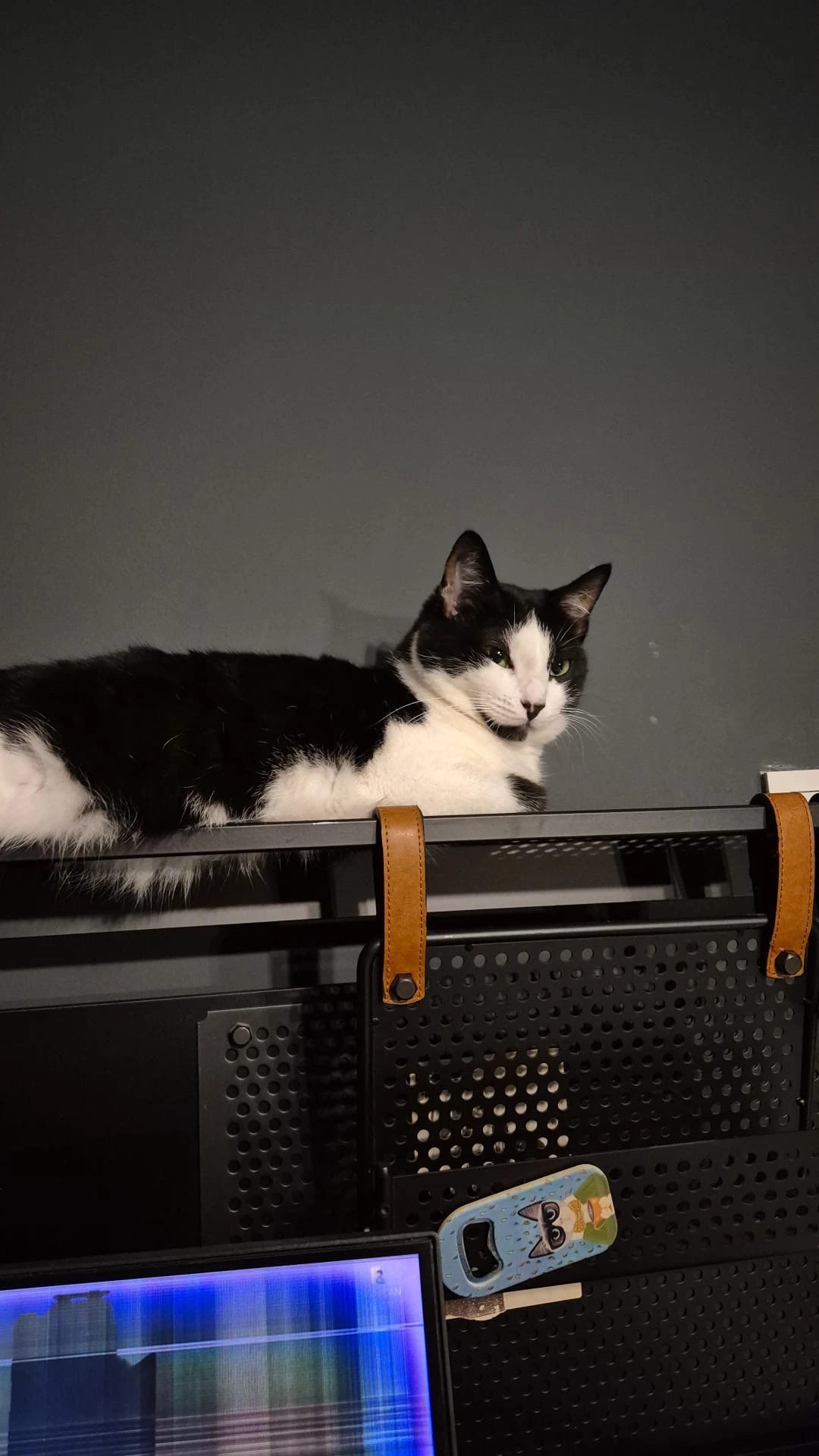 11 ay değişim paketi